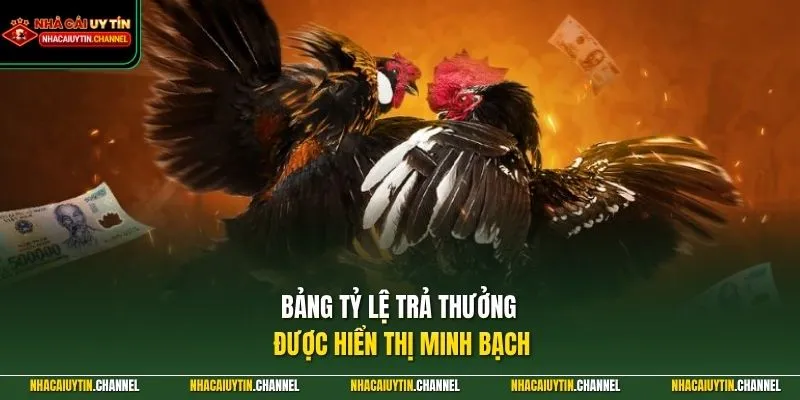 Đá Gà Trực Tuyến 3 Bảng tỷ lệ trả thưởng được hiển thị minh bạch